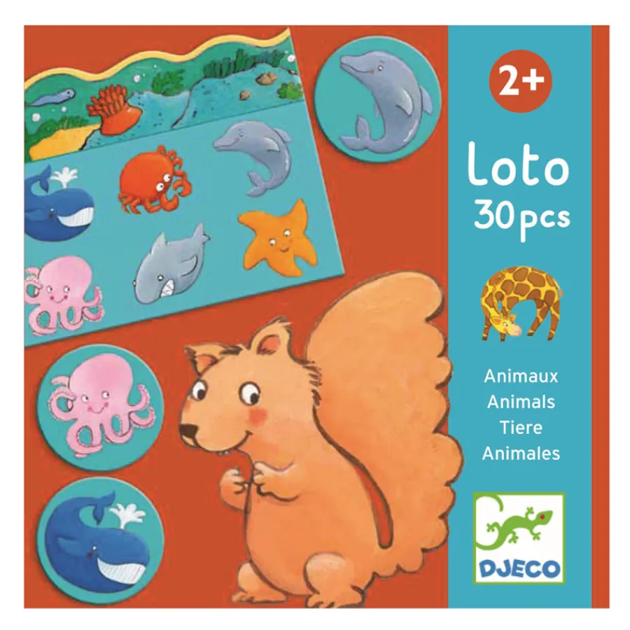 Outlet Djeco Lernspiel Tier Lotto