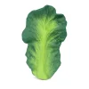 Online Oli & Carol Beiu00dfring/Badespielzeug Kendall the Kale